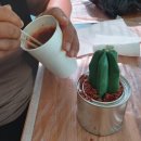 월평주공3단지 이미지