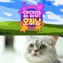 오늘의 댕댕 뉴시스