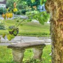 구미중앙로-6 이미지