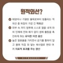 토성사우나