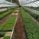 월명농장 이미지