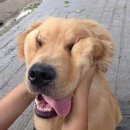 골든PC방 이미지