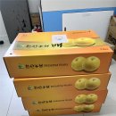 광천농협하나로마트에서 맛있는 배를 보내주셨습니다. 이미지
