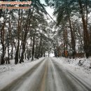 당포농장 이미지