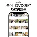 크린토피아안양명학지사 | 본식 DVD 르랑필름 계약 · 어두운 홀 가성비 DVD 업체 추천 · 추천인 코드 공유 (feat. 위더스 안양)