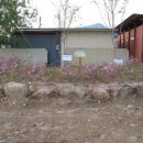 동면게이트볼장 이미지