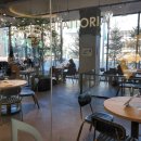 펫하우스(애견샵) 이미지