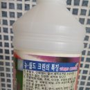 뉴-월드크린