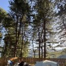 자라섬캠핑장2(A사이트) | 가평 선택적고립캠핑장 A2번 사이트 후기｜프라이빗 캠핑 추천 &amp; 자리 장단점 정리