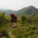 동산경로당 이미지