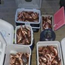 남구-034 이미지