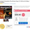 루이&DOGS 이미지