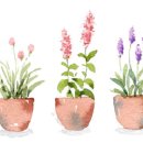 겨울철 예쁜손 만드는 손 관리법 / 목주름 예방법 이미지