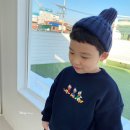 형제오리 이미지