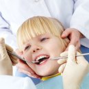 정자일로 이미지