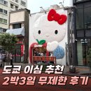 일본 도쿄 여행 필수템 이심 eSIM 무제한 데이터 유심사 대만족 후기