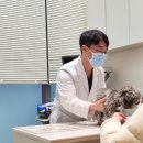 경서동물병원 이미지