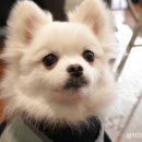 대공원 동물병원 이미지