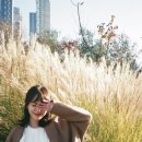 힐링 캘리그라피 이미지