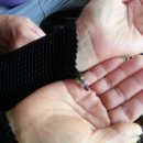 대벌농장 이미지