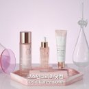 더마네이처코스메틱