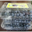 김병기농가 이미지