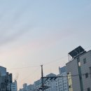 NR-6[경강로]-하-206 | 2P1J의 충동의 강릉 여행 / 나운 칼국수, 돌체테리아, 순두부젤라또, 서울양계 .. 먹기만했네..ㅎ