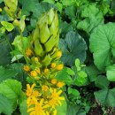 설구산방 이미지