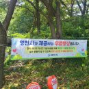 세븐일레븐영천동길점 이미지