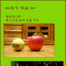 연두사과 이미지