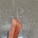 [복숭아 탕후루 만들기] 종이컵 탕후루 만들기 실패 후기