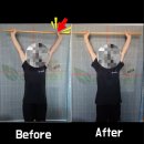 네츄럴박스 이미지