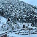 담양 리사 숲속마을 이미지