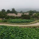 향-고향의 정 이미지