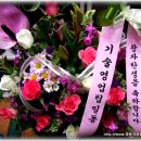 여성M파크병원