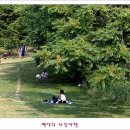 평화마루 이미지