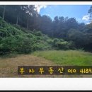 화심약국 이미지