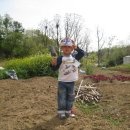 개정동사무소 이미지