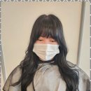 모종드헤어 네이버블로그