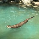 (주)이인플래닛 이미지