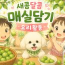 자연아이유치원어린이집 네이버블로그