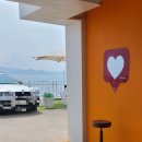 엣지 993(edge 993) 이미지