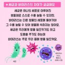 광주아동도서 어린이서점 피터팬 네이버블로그
