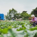 큰골영농조합법인 이미지