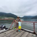 팽나무 펜션 이미지