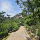 서촌먹거리쉼터 | 인왕산 등산코스 난이도 초보도 가능한 서울 주말 등산 청와대 롯데타워 뷰