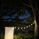 화담숲 아이와 반딧불이원 후기, 반딧불이이야 밤길을 밝혀줘(야간)