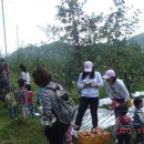 보람 농원 이미지