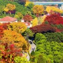 39도 40도 고열있어서 내과 갔다오고 링거맞고 이미지