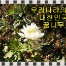 월명작은도서관 이미지